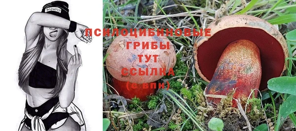 каннабис Алексин