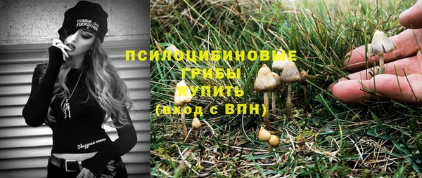 соль ск Алексеевка